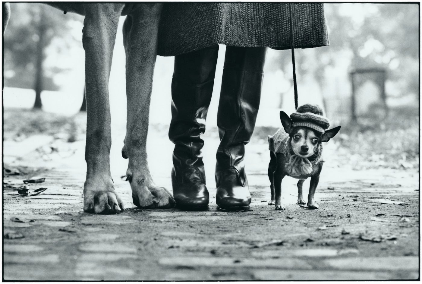 Elliott Erwitt Fotógrafo de zoom