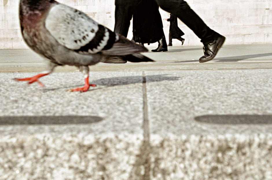 © Matt Estuardo