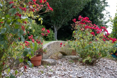 jardín