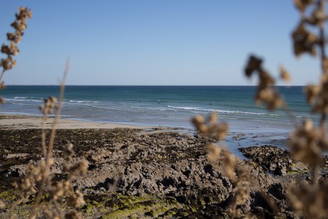 surfistas en las olas