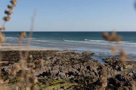 surfistas en las olas
