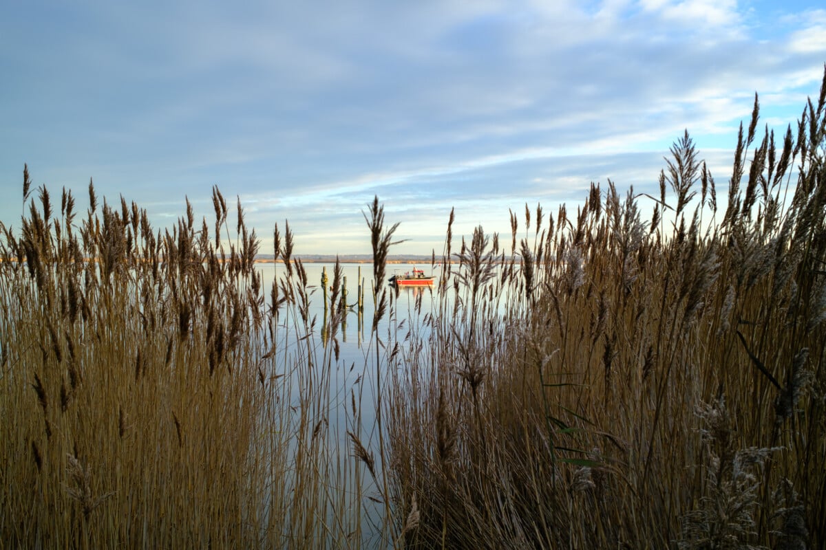 Fujifilm x100 vi