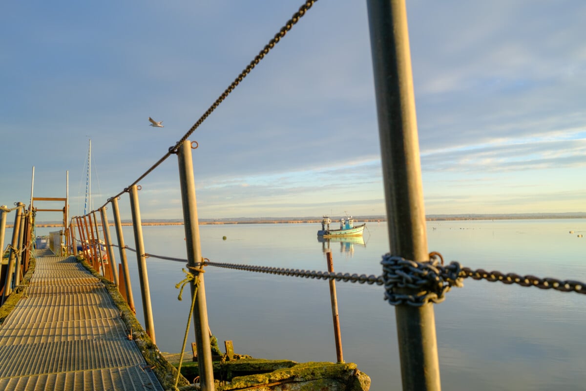 Fujifilm x100 vi