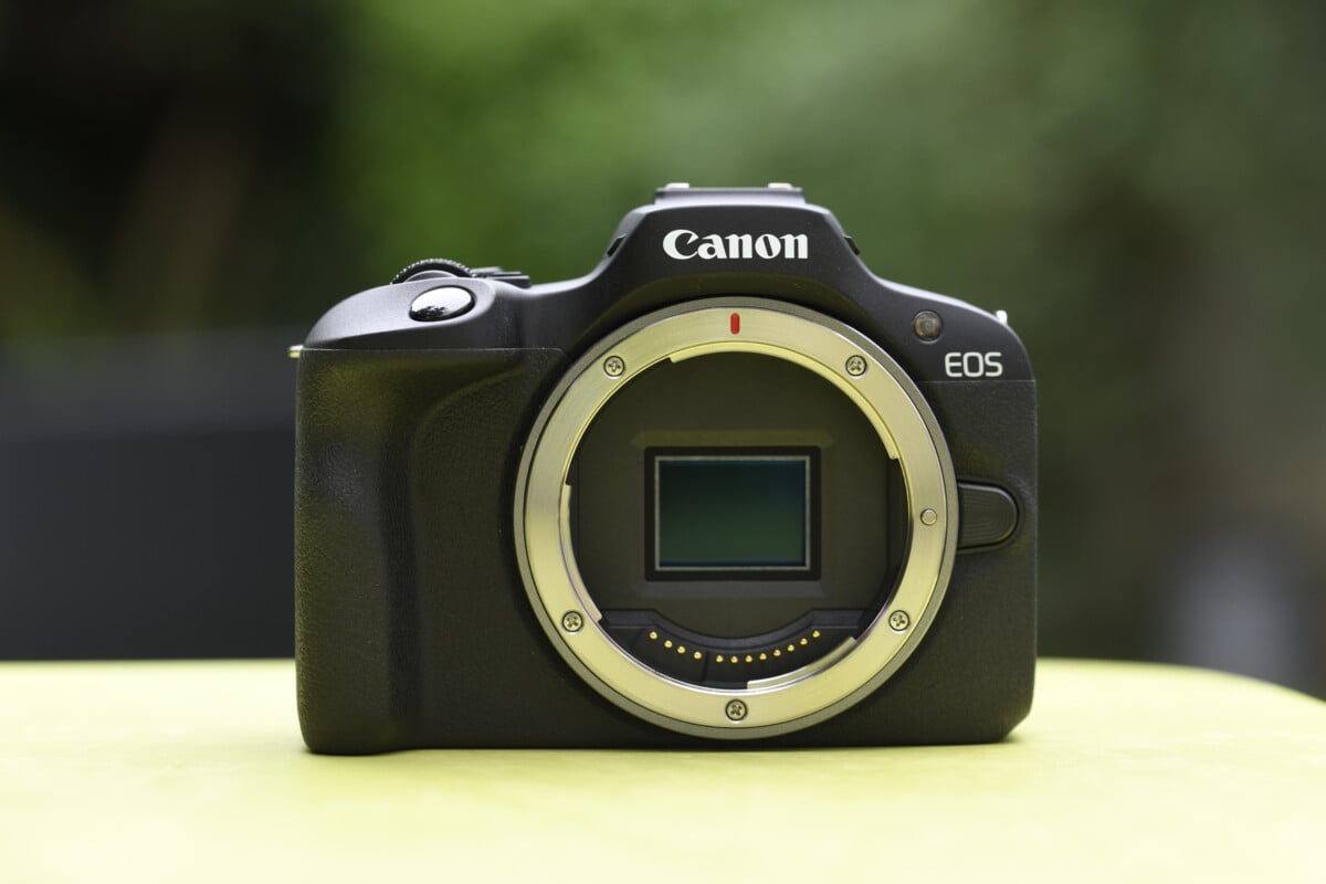 El sensor APS-C de Canon EOS R100
