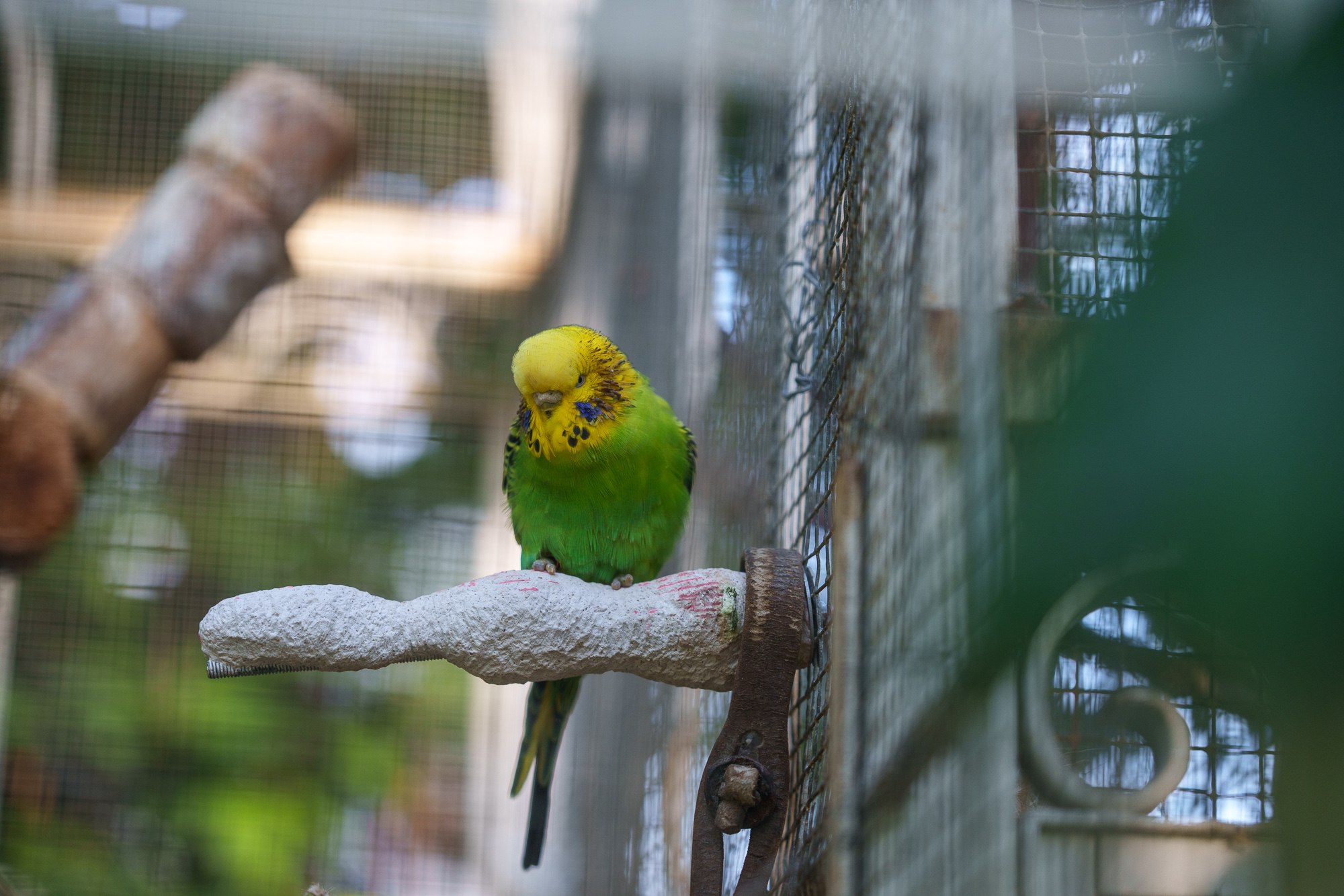 Sigma 28-105mm f/2.8 DG DN Arte