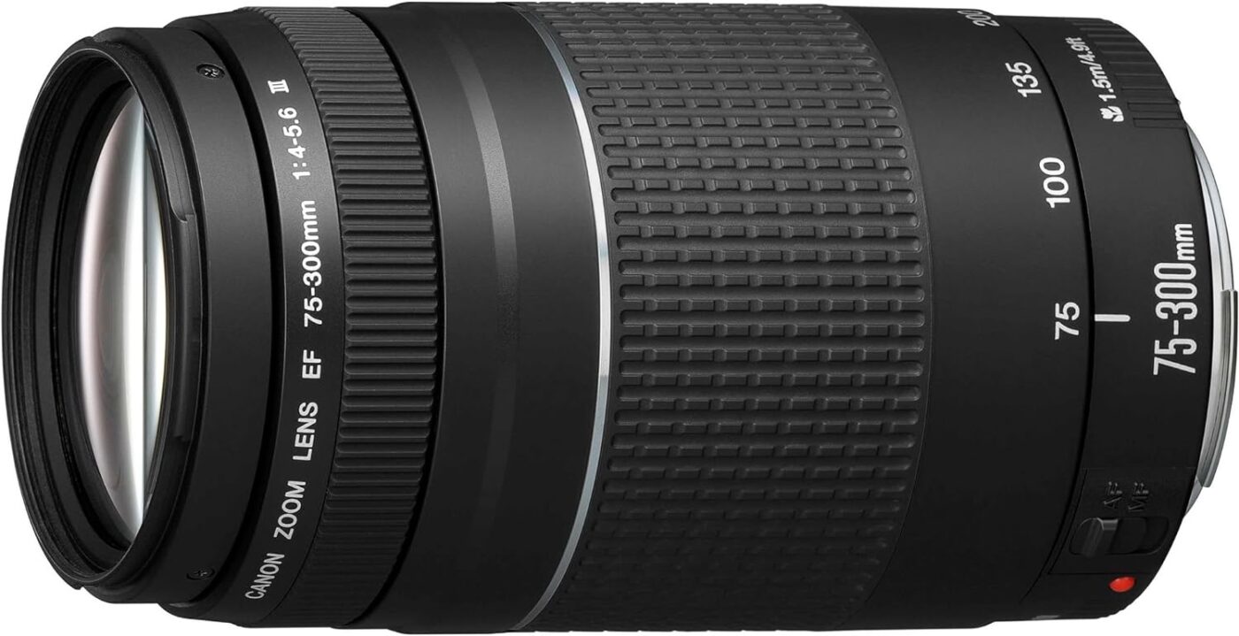 Canon RF 75-300 mm f/4-5,6