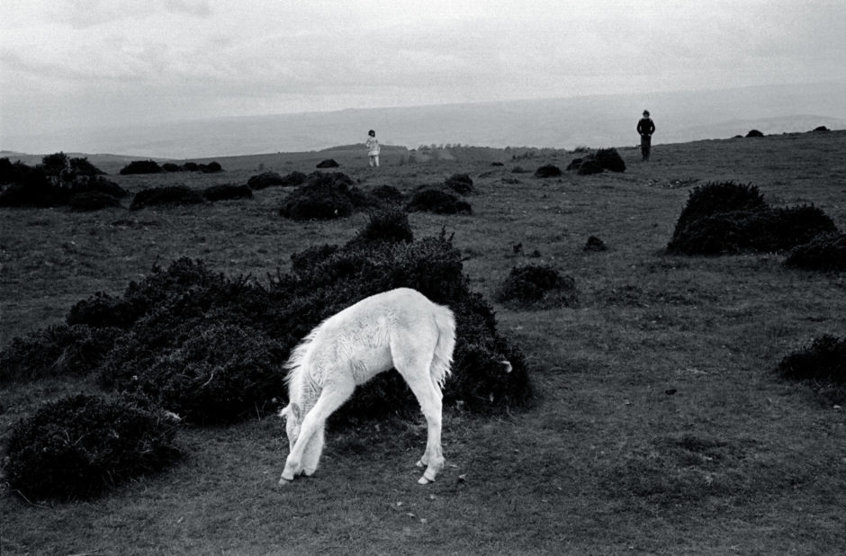 © David Hurn - Fotos Magnum - "GB, Gales, Brecon Beacons - Potro salvaje - Turistas fríos bajo la lluvia en el fondo, 1974"
