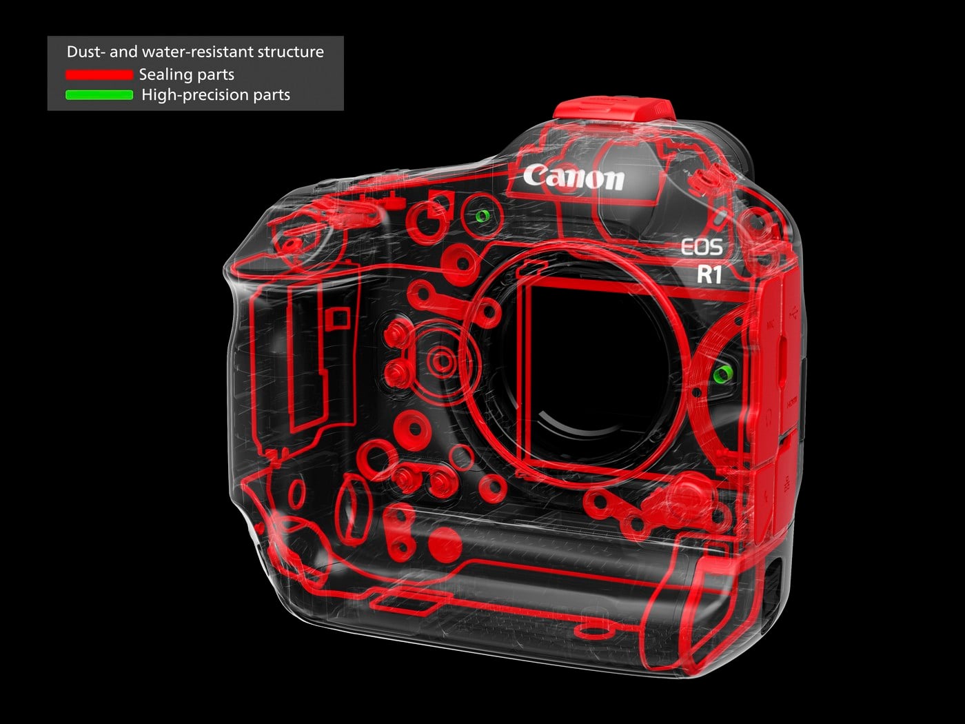 Pruebe Canon EOS R1 Phototrend