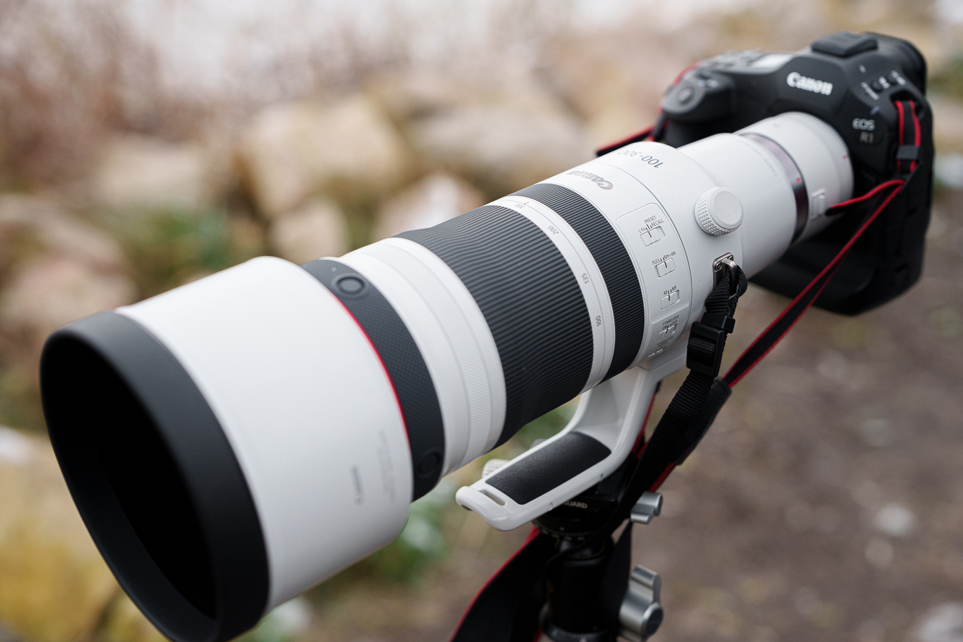 Pruebe Canon EOS R1 Phototrend