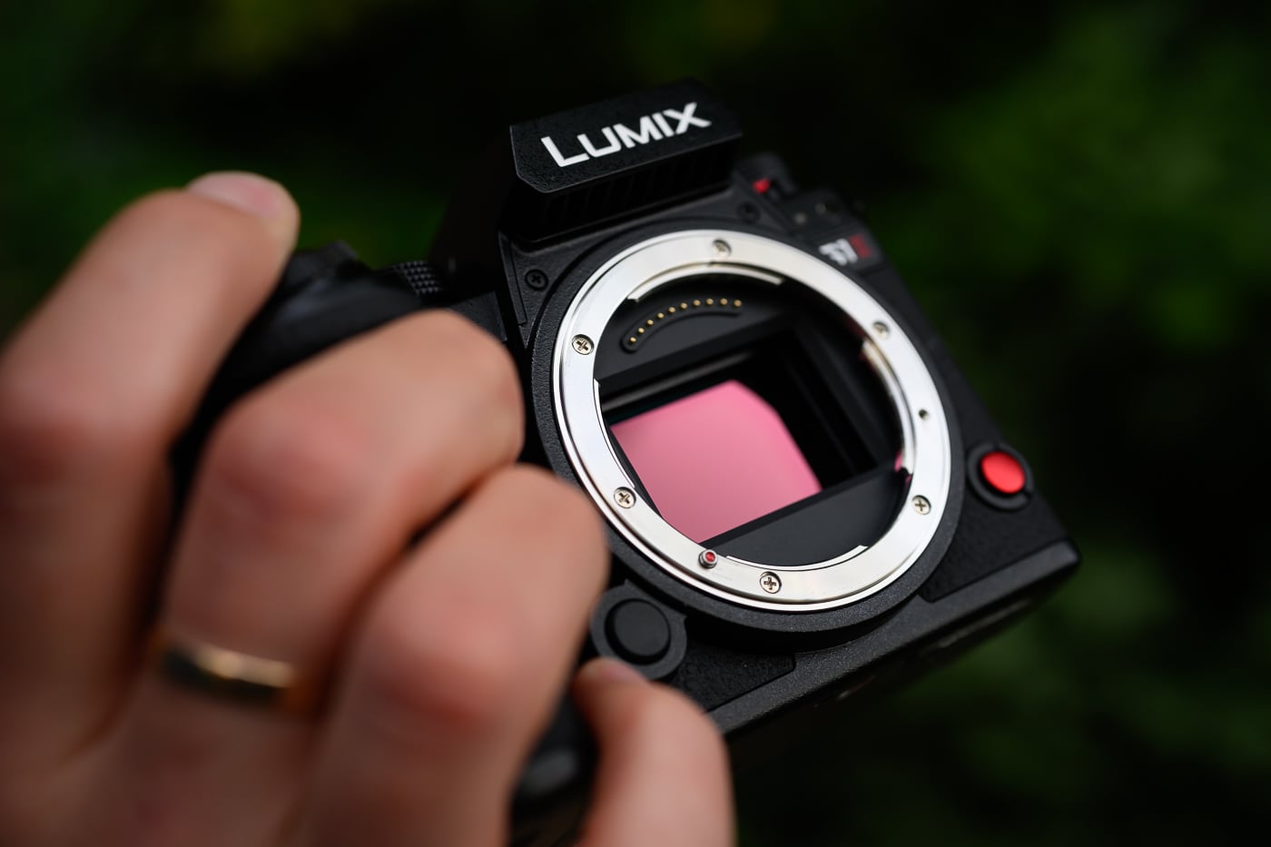 Panasonic Lumix S1II
