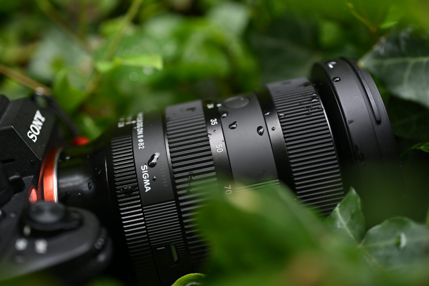 Sigma 24-70 mm f/2,8 DG DN II Arte