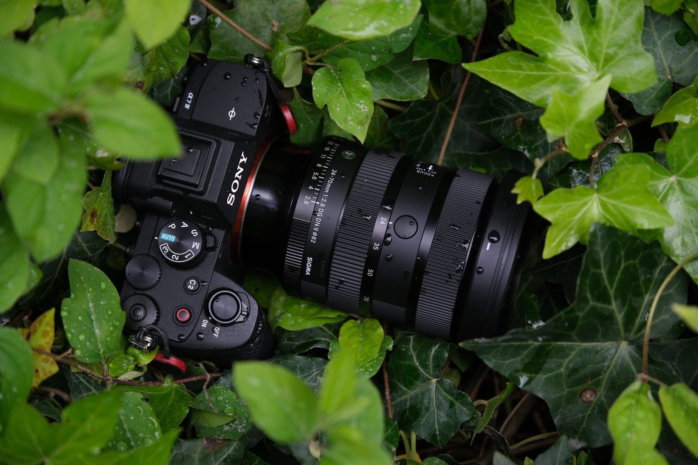 Sigma 24-70 mm f/2,8 DG DN II Arte