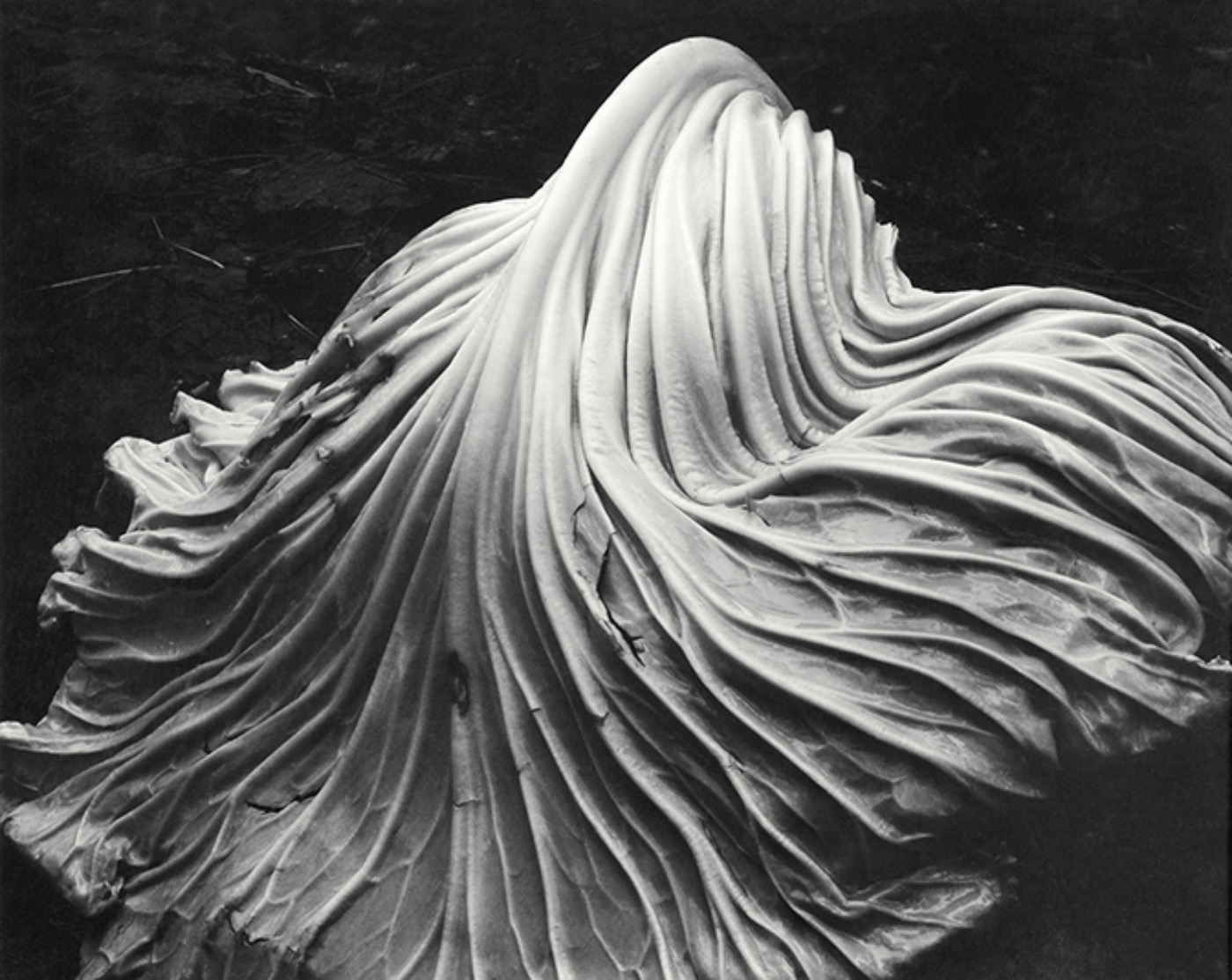 Eduardo Weston
