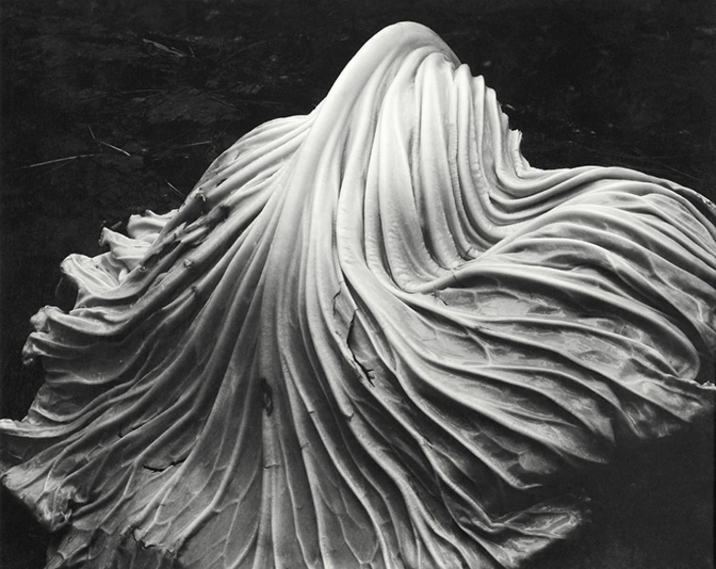 Eduardo Weston