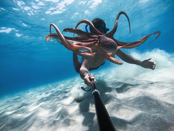 Gopro Hero9 Negro 3