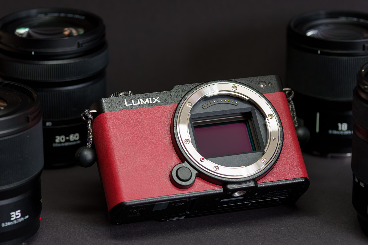 prueba Panasonic Lumix S9