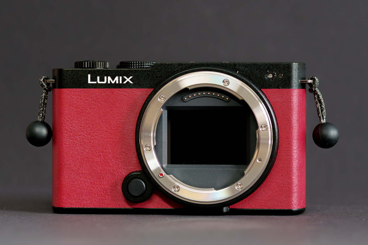 prueba Panasonic Lumix S9