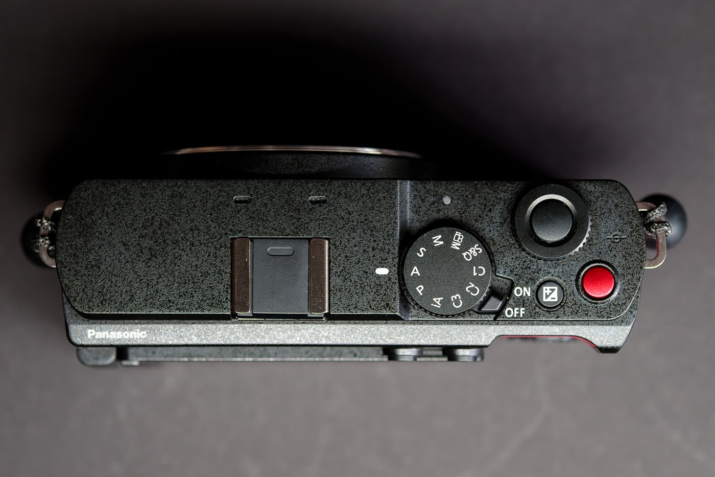 prueba Panasonic Lumix S9