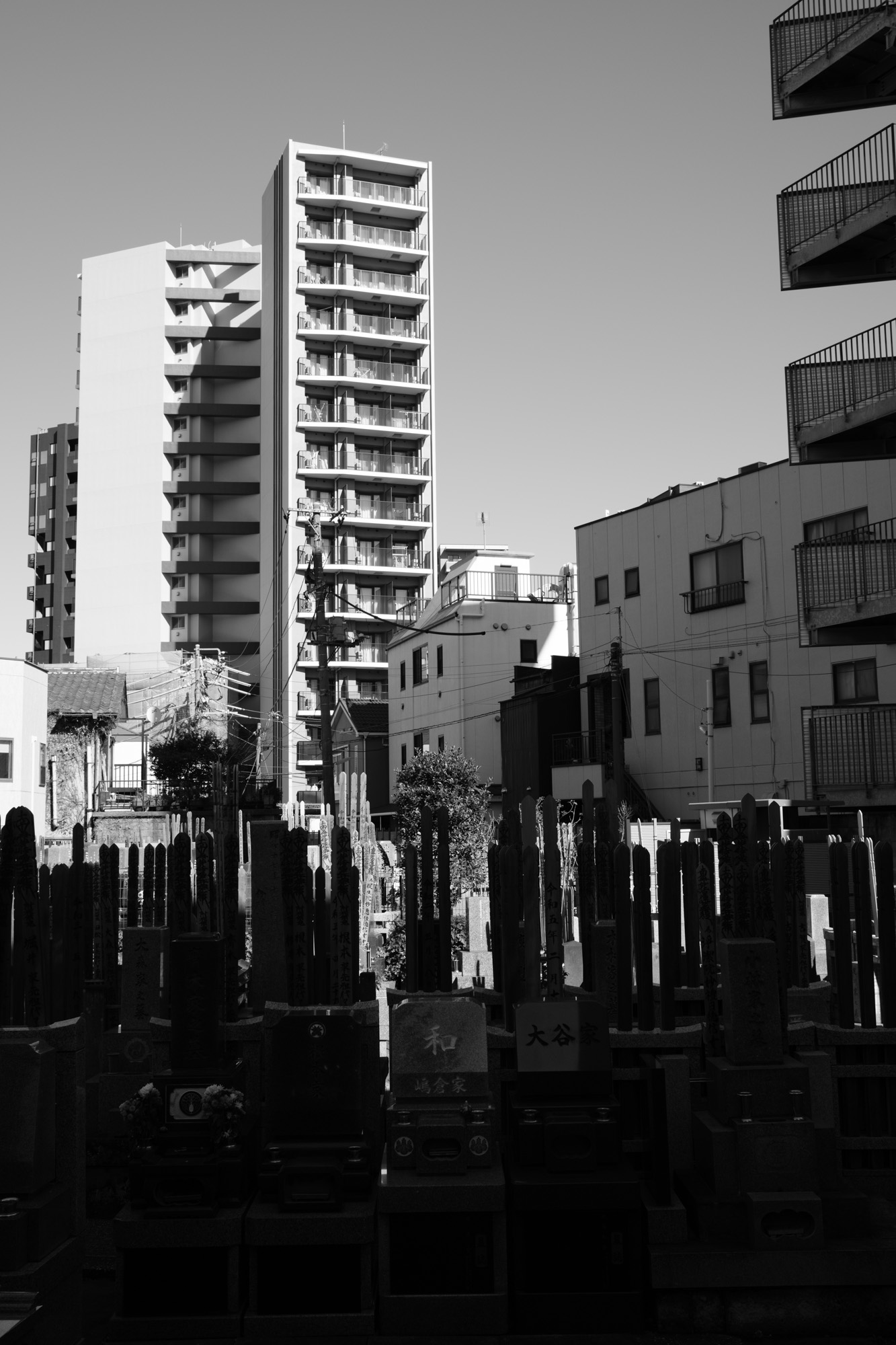 Fujifilm X100VI - ¹⁄₂₈₀ seg a ƒ/5,6 - ISO 125 - ACROS