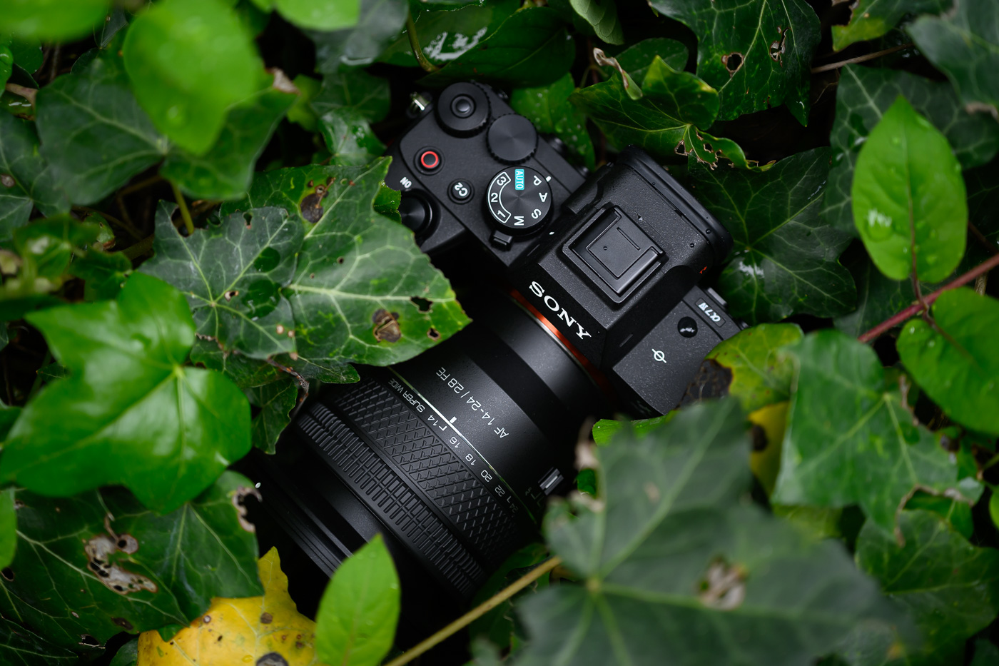 Samyang AF 14-24 mm f/2.8 FE
