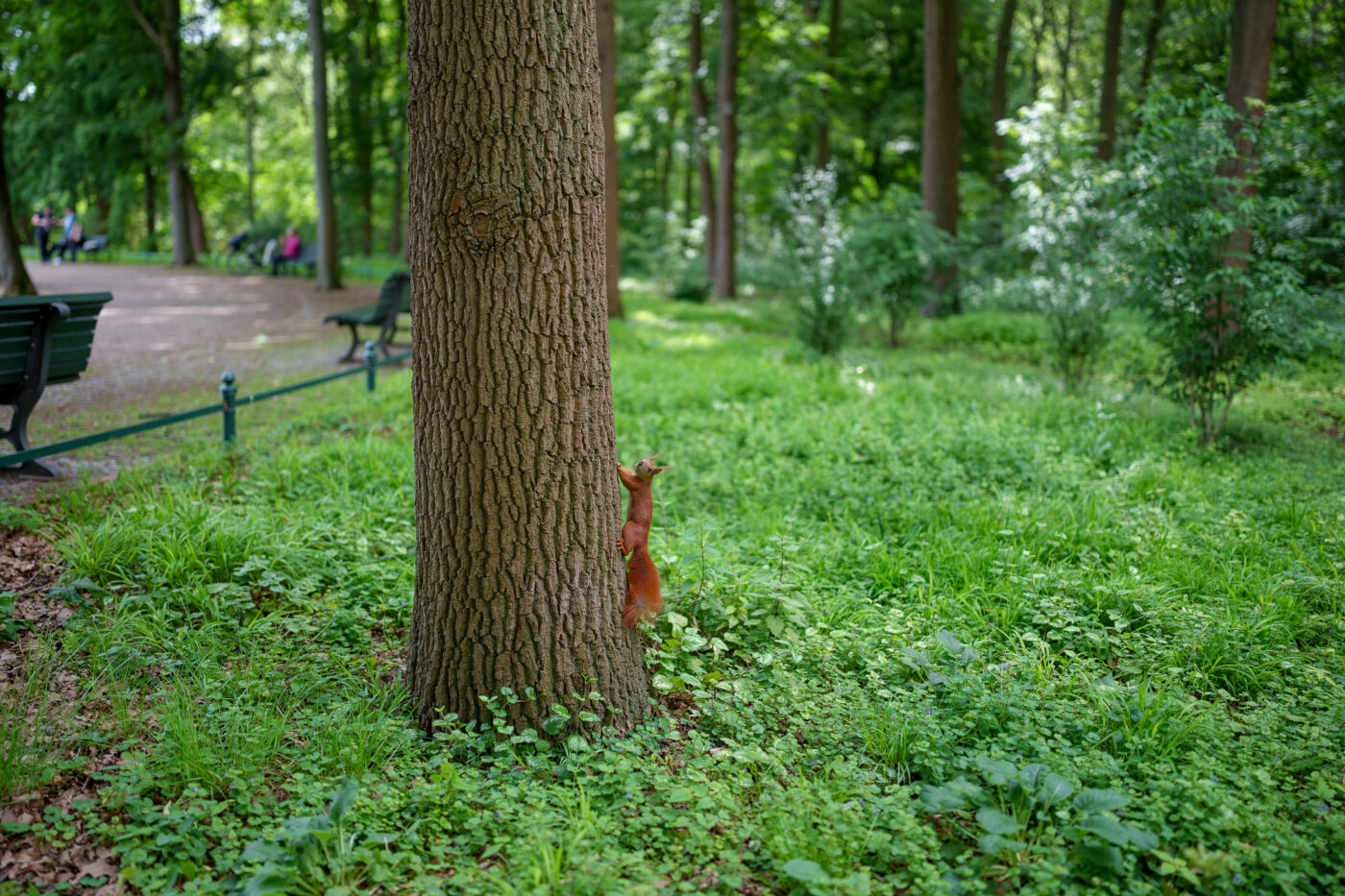Prueba Viltrox AF 35 mm f/1,2 LAB FE Phototrend