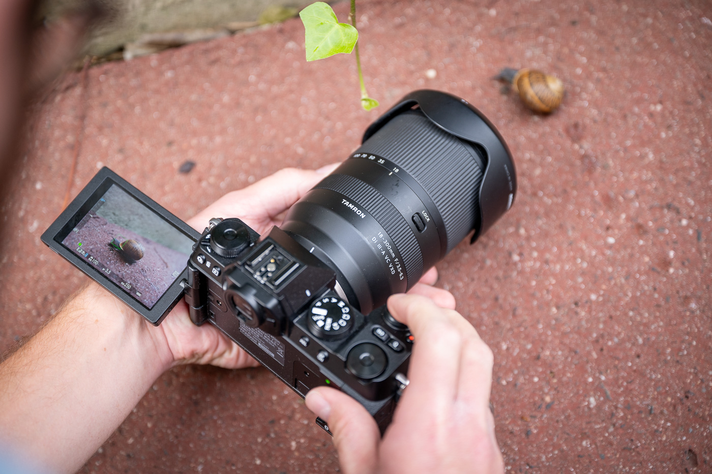 Prueba de fototendencia Tamron 18-300 mm f/3,5-6,3 Di III-A VC VXD