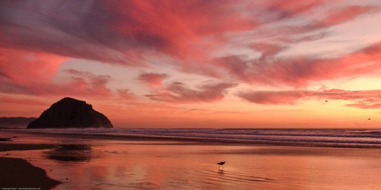 playa