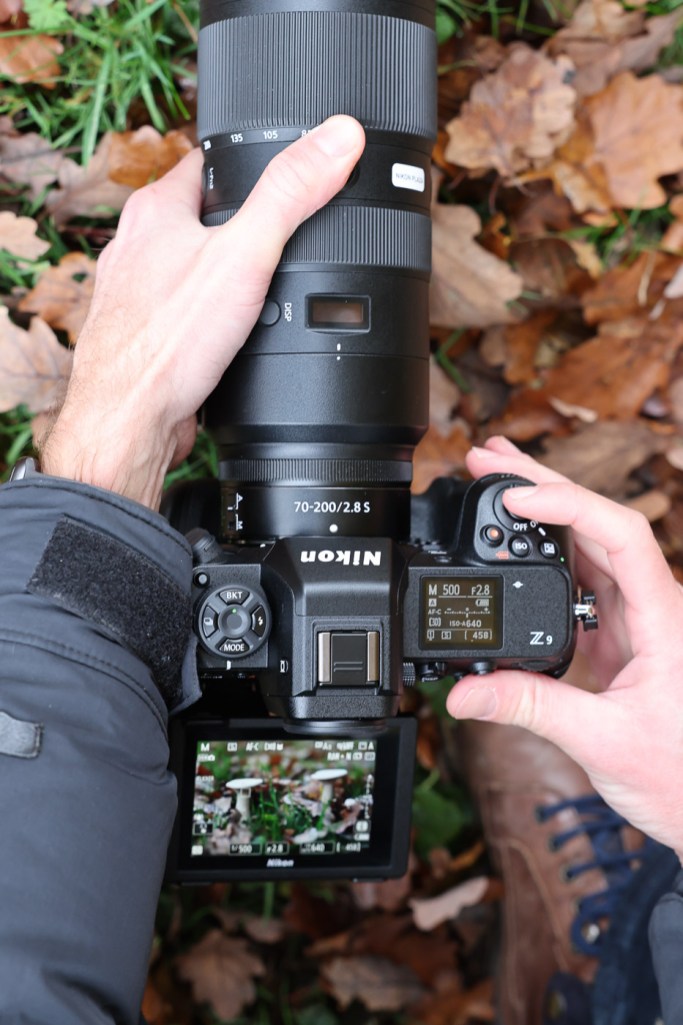 Prueba de fototendencia Nikon Z9 7