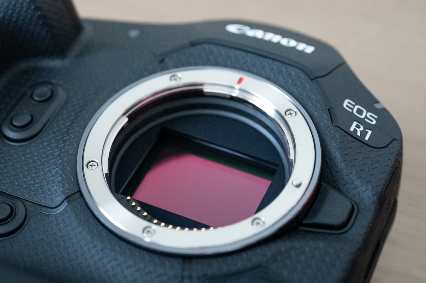 Canon EOS R1 vs Nikon Z9 vs Sony A1 II: ¿quién será coronado como el rey de las cámaras sin espejo de fotograma completo?