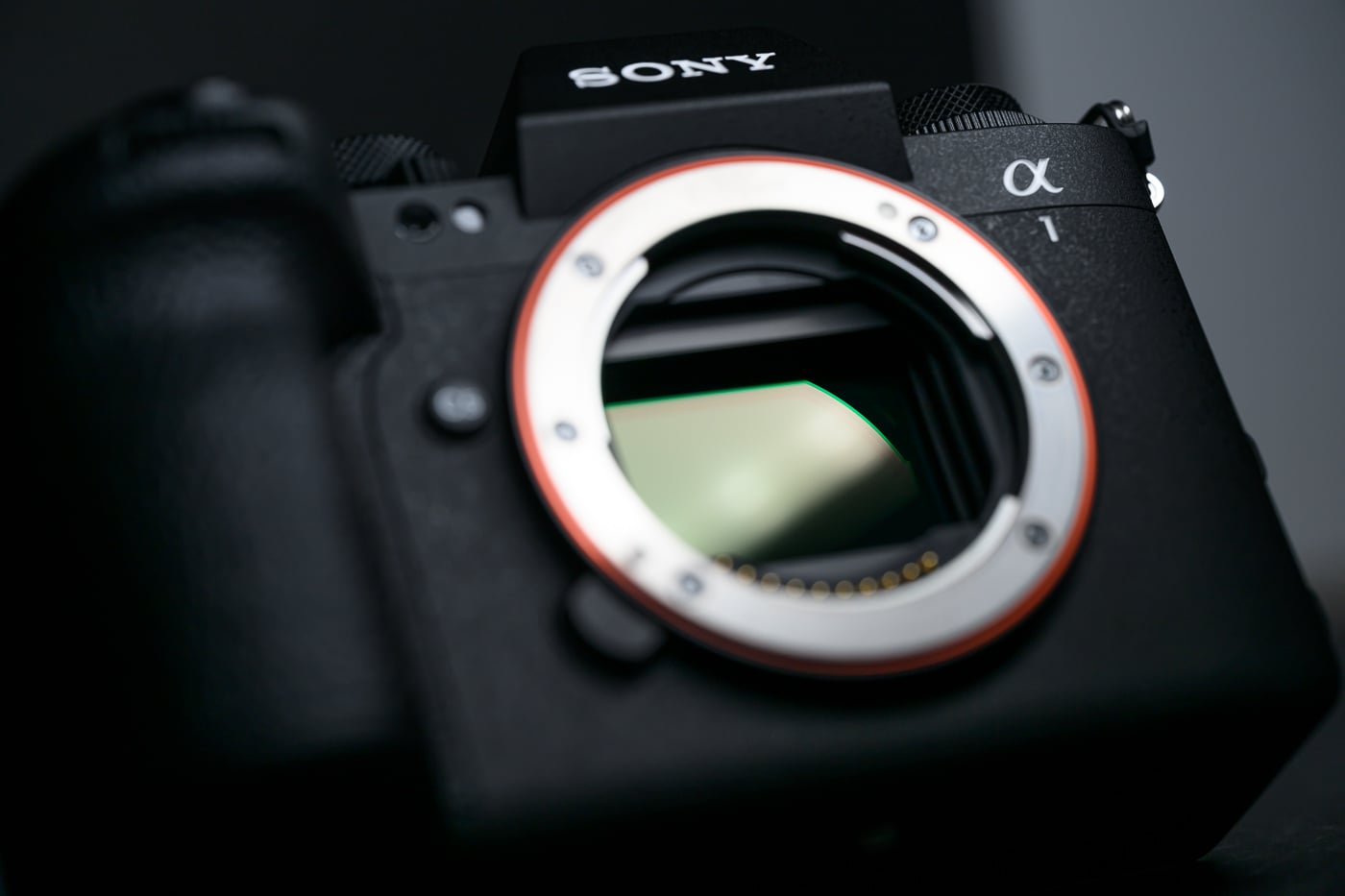 Canon EOS R1 vs Nikon Z9 vs Sony A1 II: ¿quién será coronado como el rey de las cámaras sin espejo de fotograma completo?