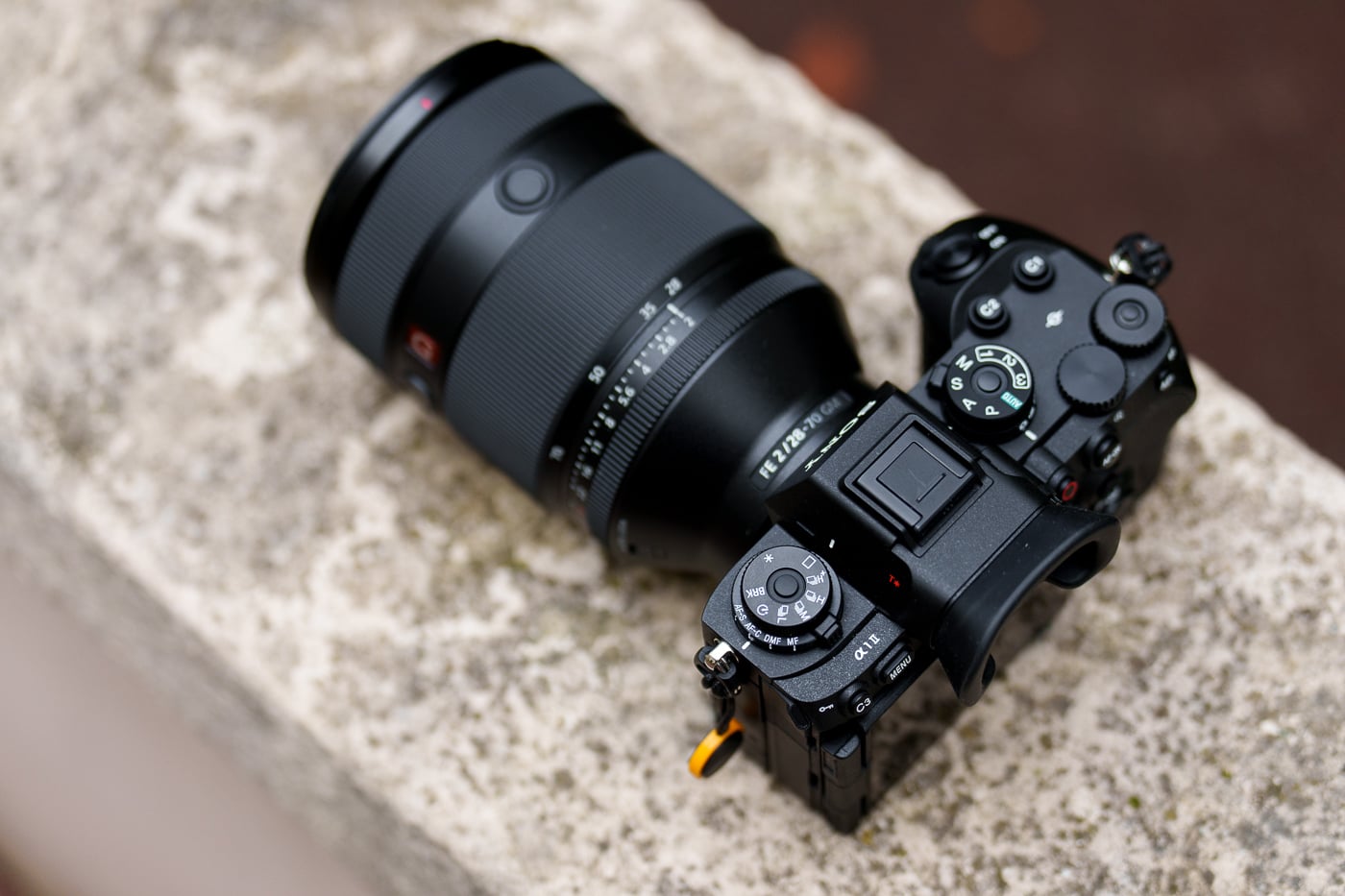 Canon EOS R1 vs Nikon Z9 vs Sony A1 II: ¿quién será coronado como el rey de las cámaras sin espejo de fotograma completo?
