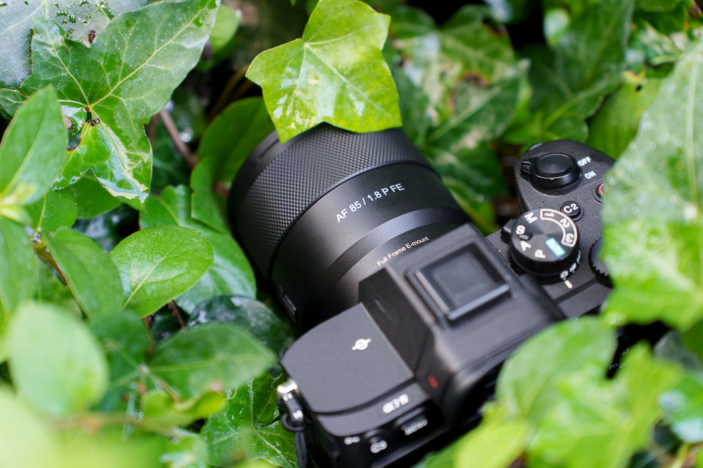 Prueba Samyang AF 85 mm f/1,8 P FE