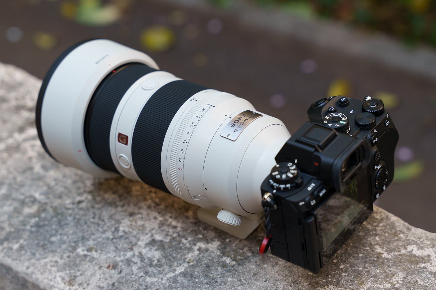 Prueba Sony FE 50-150 mm f/2 GM