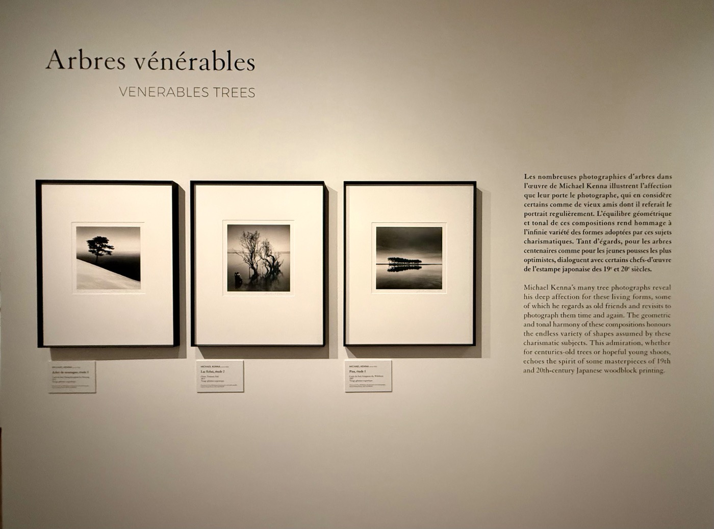 Museo Michael Kenna Guimet
